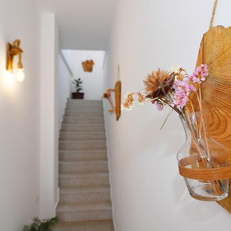 City Nest Shkoder Bagian luar foto